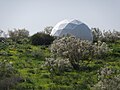 תמונה ממוזערת לגרסה מ־08:04, 21 בינואר 2024