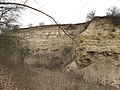 Čeština: Přírodní památka Micoenní sladkovodní vápence u Tuchořic. Okres Louny, Česká republika. English: Natural monument "Miocenní sladkovodní vápence" (Miocene freshwater limestones) near Tuchořice village, Louny District, Czech Republic.