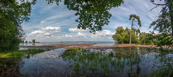 Flooding on the shore of Lake Constance, May 2013