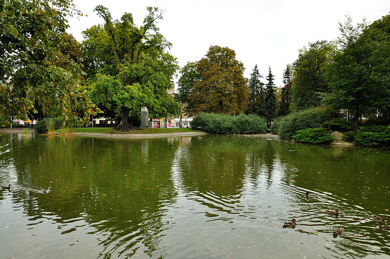 File:Park Wilsona.JPG