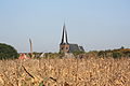 image=https://commons.wikimedia.org/wiki/File:Parochiekerk_Sint-Laurentius.jpg