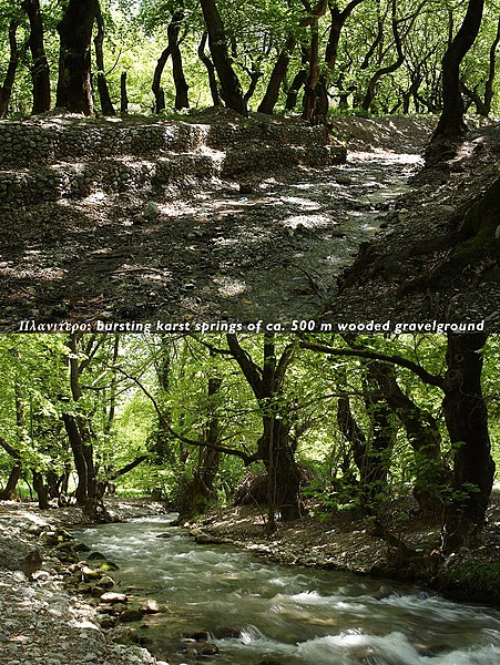 File:Planitero Aroanios-Springs Achaea Peloponnese.jpg