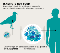 File Plastik Ist Keine Nahrung Svg Wikimedia Commons