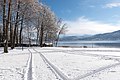 * Nomination Skid marks at the park on Johannaweg with view of the Lake Woerth, Pörtschach, Carinthia, Austria --Johann Jaritz 02:52, 20 January 2017 (UTC) * Promotion  Support Good quality.--Agnes Monkelbaan 05:44, 20 January 2017 (UTC)