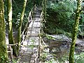 Passerelle sur le Roulave