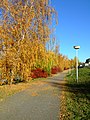 Čeština: Podzimní cesta v Praze-Ruzyni English: Autumn road in Prague-Ruzyně Русский: Осенная Прага (Рузыне)