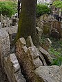 * Nomination Old Jewish Cemetery in Prague, Czech Republic --Uoaei1 03:52, 17 May 2017 (UTC) * Promotion Good quality. -- Johann Jaritz 04:14, 17 May 2017 (UTC)