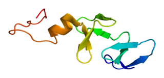 CRIP1 protein-coding gene in the species Homo sapiens