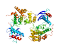 Thumbnail for Mitogen-activated protein kinase 9