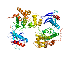 پروتئین MAPK9 PDB 3E7O.png