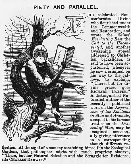 File:Punch, 30 November 1872, 'Piety and Parallel Wellcome L0031421.jpg