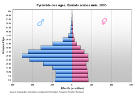 Yhdistyneiden arabiemiirikuntien ikäpyramidi vuonna 2005