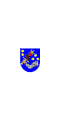 Actual coat of arm