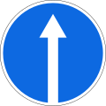 Ahead only (no turns)