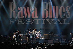Rawa Blues 2008 54.jpg