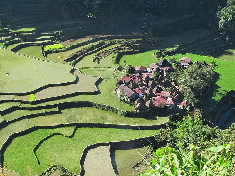 File:Rice Terraces of Bangaan (40879929533).jpg