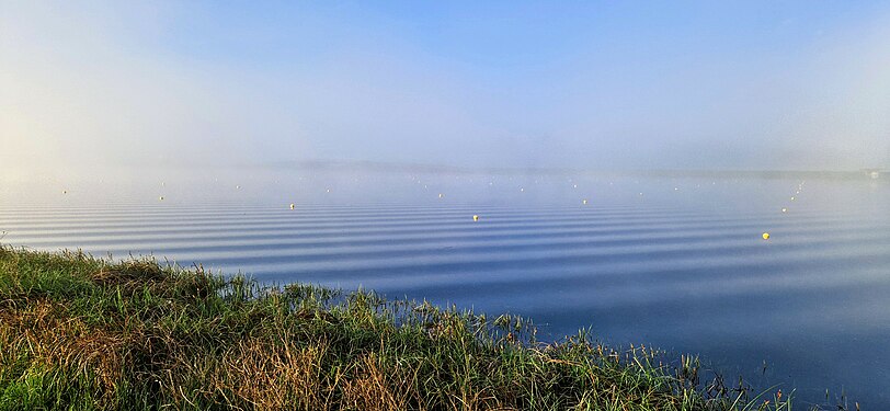 Ripples on a buoyed lake