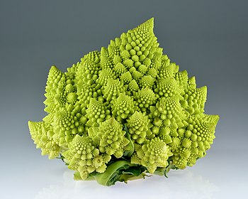 Romanesco broccoli