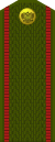 Русия-армия-ИЛИ-1-1994-field.svg