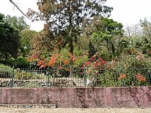 Enclosure of the botanical garden
