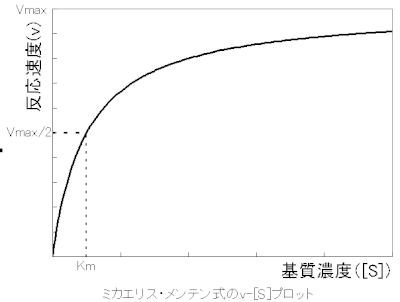 ミカエリス・メンテン式