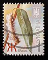 * Nomination Salix alba stamp from Ukraine, 2012. --Tournasol7 05:35, 5 January 2022 (UTC) * Promotion  Support Good quality -- Johann Jaritz 05:39, 5 January 2022 (UTC)