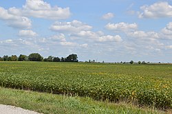 Fields south of Morral