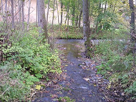 Schiebecksbach, Muendung