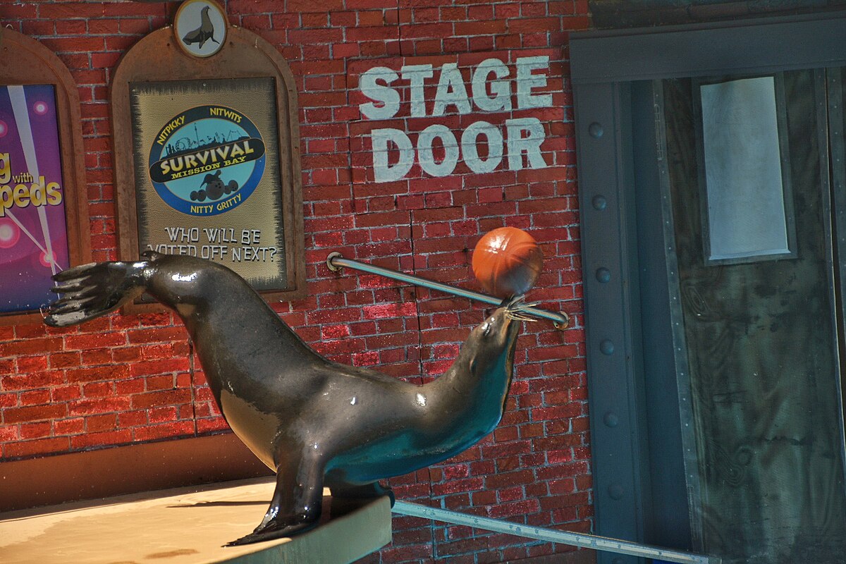 File:Sea Lions Live SanDiego Seaworld 2.jpg - Wikipedia