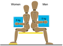 Pictogram of generally acceptable loads during manual handling when seated Seated handling risk filter.png