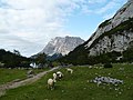 Seebensee Alm with Seebensee, sheeps and Zugspitze.jpg