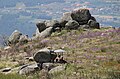 Serra da Estrela-214-Ziegenhirt-2011-gje.jpg