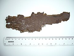 Artillery shell fragment from the Gulf War