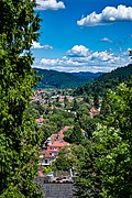 Blick auf Freiburg