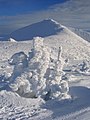 Bélyegkép a 2016. március 1., 04:17-kori változatról