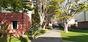 Halls of residence  University of Canterbury