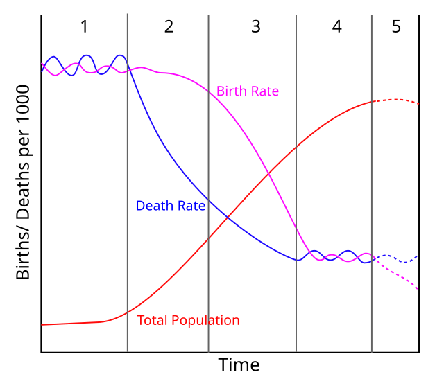 Birth rate - Wikipedia