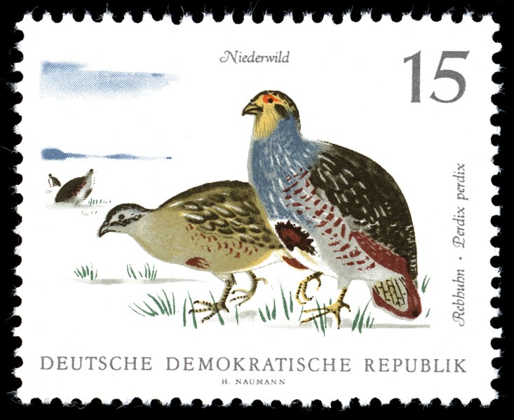 File:Stamps of Germany (DDR) 1968, MiNr 1358.jpg