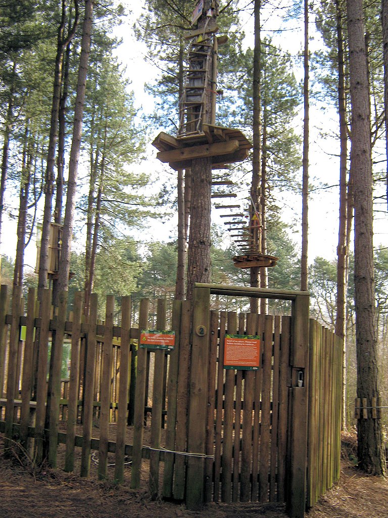 File Start Of The Go Ape Course Geograph Org Uk Jpg Wikimedia Commons