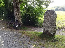 Image illustrative de l’article Statue-menhir de Redoundet