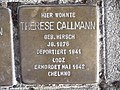 "Hier wohnte Therese Callmann, geb. Hirsch Jg. 1876, deportiert 1941 Lodz, ermordet Mai 1942 Chelmno"
