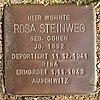 Stolperstein Horstmar Gossenstraße 1 Rosa Steinweg