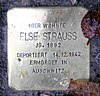 Stolperstein Thomasiusstr 18 (Moab) Else Strauss.jpg