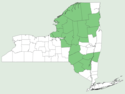 Streptopus amplexifolius NY-dist-map.png