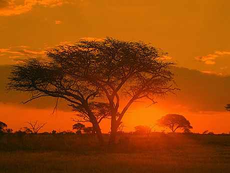 Matobo National Park