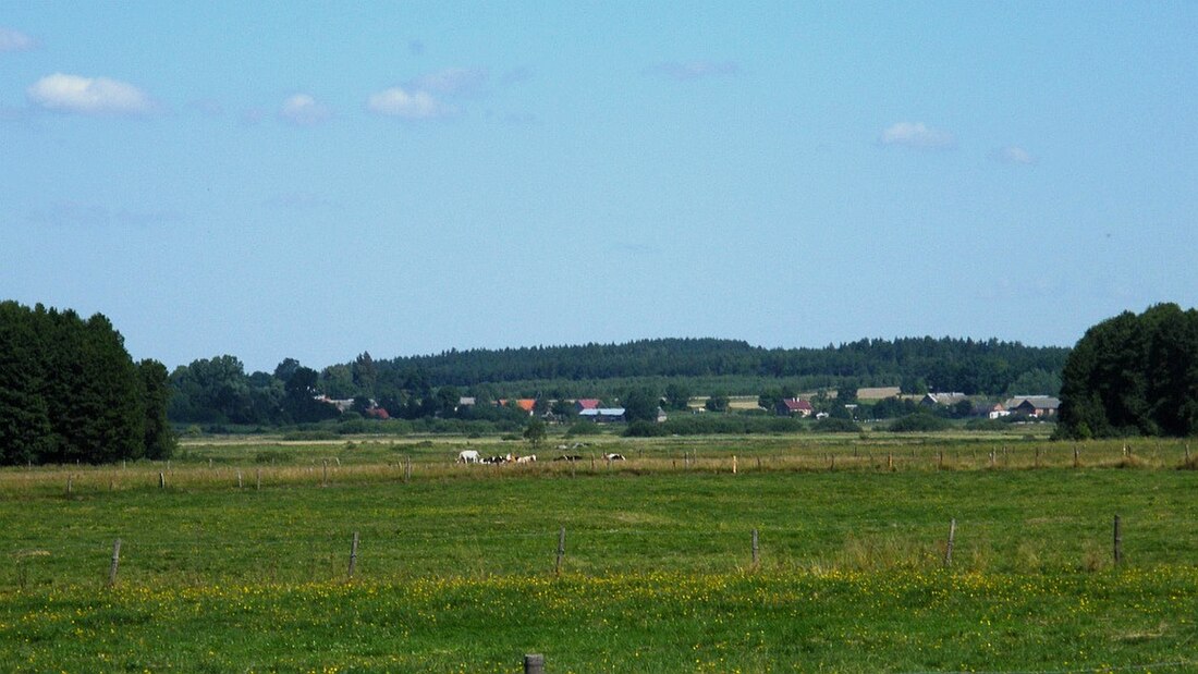 Нідзіцкі павет