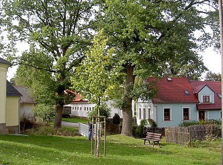 Třískolupy 28