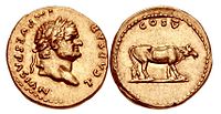 Aureus datés de 76. À l'avers, les profils de l'empereur Vespasien et du césar Titus et au revers, une des quatre génisses de Myron rappelant leur transfert deux ans plus tôt du temple d'Apollon au temple de la Paix.