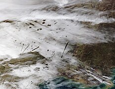 Satellite image of canals and fallstreak holes over east Texas and Louisiana, Jan 2007
