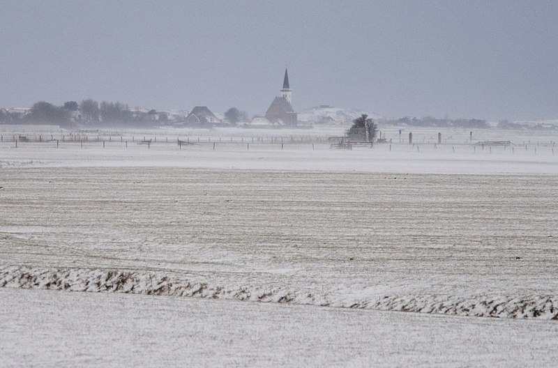 File:Texel - Zuid Haffel - Winterview WSW on Den Hoorn, NH Kerk & Loodsmansduin.jpg